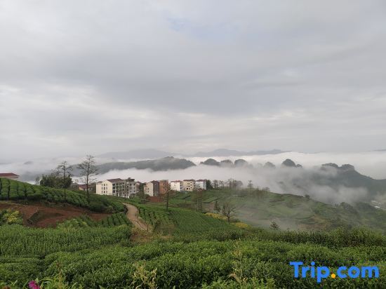 Шаоксинг: Xinchang Daxu Xiaoruo Homestay