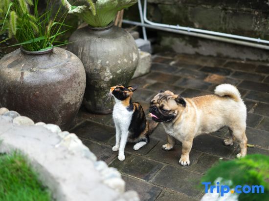 Хуаншань: Hongcun Daiqingfang Nanhub Huizhou Ancient Style Experience Homestay