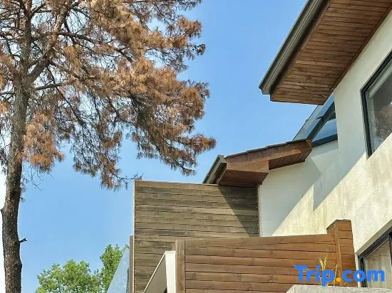 Чунцин: Reve House