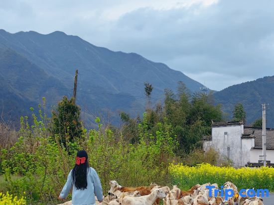 Хуаншань: Huangshan bushe Bishan Inn