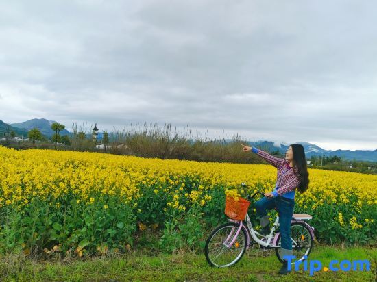 Хуаншань: Huangshan bushe Bishan Inn
