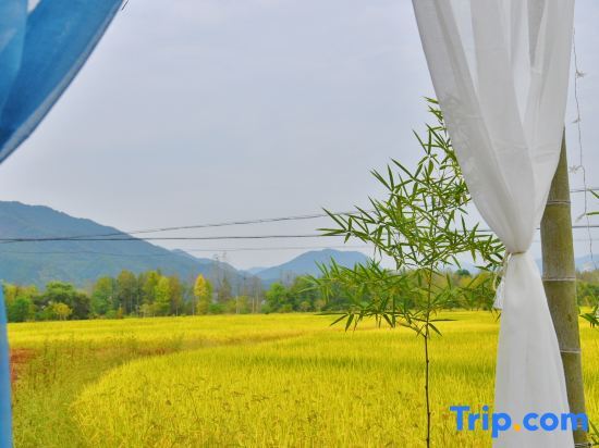 Хуаншань: Huangshan bushe Bishan Inn