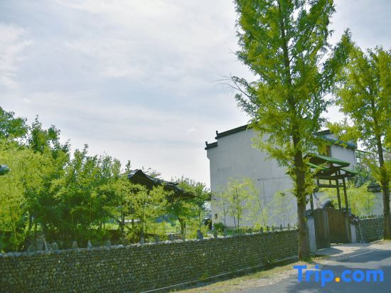 Хуаншань: Huangshan bushe Bishan Inn