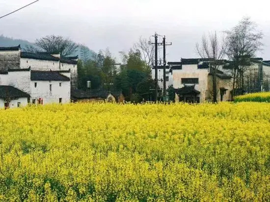 Шанграо: Wuyuan waiting for your homestay