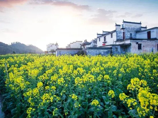 Шанграо: Wuyuan waiting for your homestay