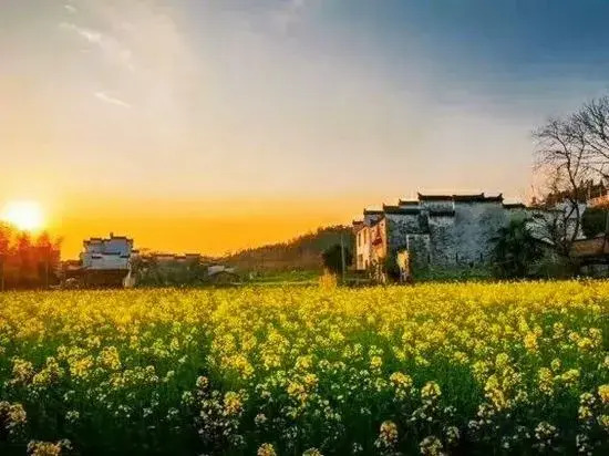 Шанграо: Wuyuan waiting for your homestay