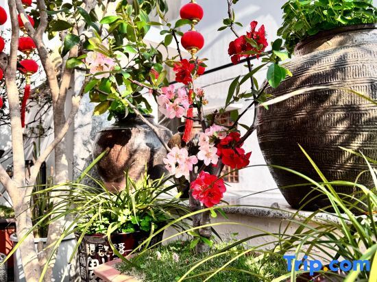 Тайчжоу: Rooftop Kejia Homestay