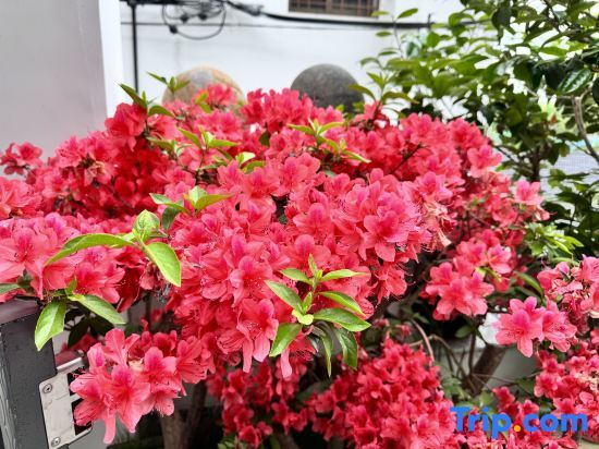 Тайчжоу: Rooftop Kejia Homestay