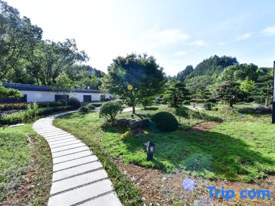 Шаоксинг: Xinchang Big Buddha Temple Fanyin Hotel