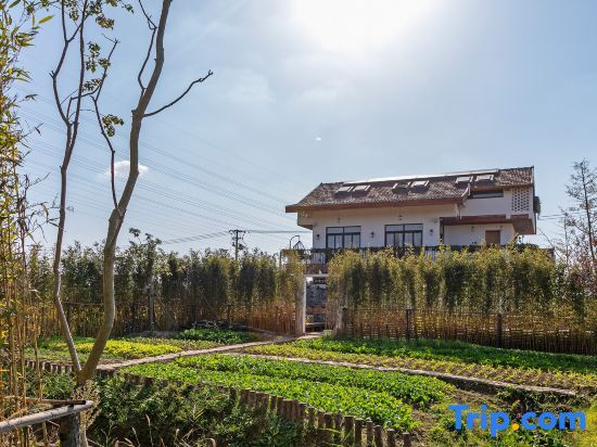 Шанхай: Shanghai Wuxiang Childhood B&B