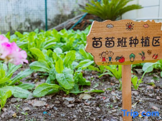Шанхай: Shanghai Yushe College Leisure Resort Homestay