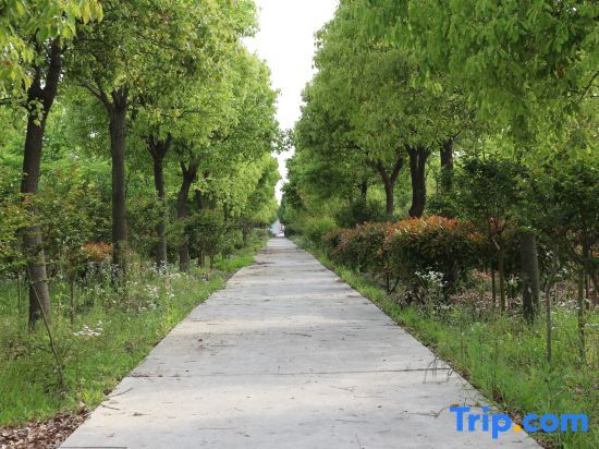 Шанхай: Shanghai Seaside Guest Homestay