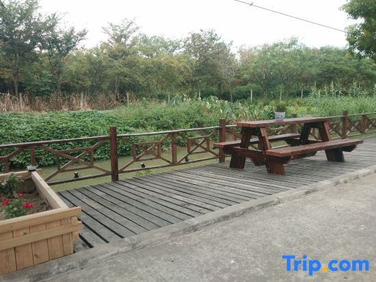 Шанхай: Shanghai Seaside Guest Homestay