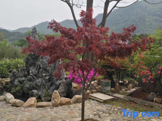 Хуаншань: Taohuatan five star homestay