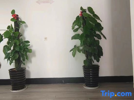 Ганьчжоу: Ganzhou Zhandong Hotel