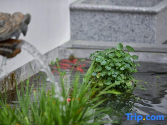 Хуаншань: Huangshan Yihua Yimu Yi Homestay (Chengkan Branch)