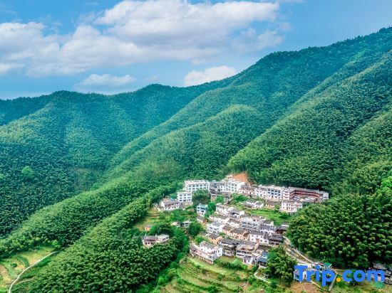 Хуаншань: Yunyuzhu Shanju (Hongcun Branch)