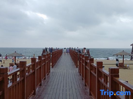 Янгиианг: Amy's Apartment (Yangxi Moon Bay)