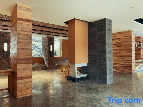 Чунцин: Youwu mountain home landscape garden stay