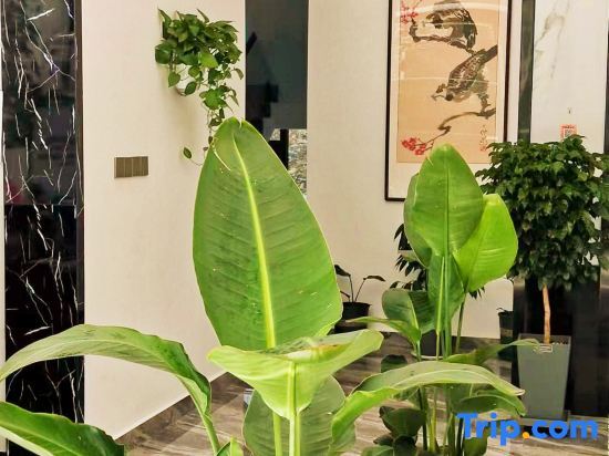 Хуаншань: Huan Yu Xiang Lin Homestay