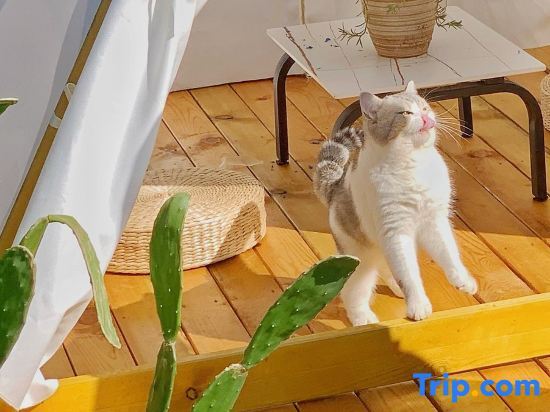 Бэйхай: Weizhou Island Yunshang Guoyu Homestay (Wucaitan Branch)