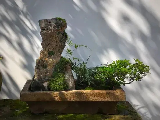 Лишуй: Ruiyuan · Meisu
