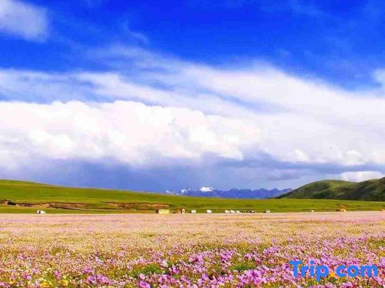 Сунпань: Holiday Inn Songpan Baidu