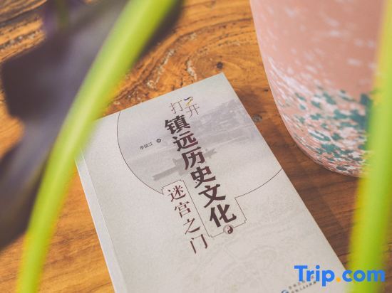 Уян: Zhenyuan NALI·VILLA Private B&B