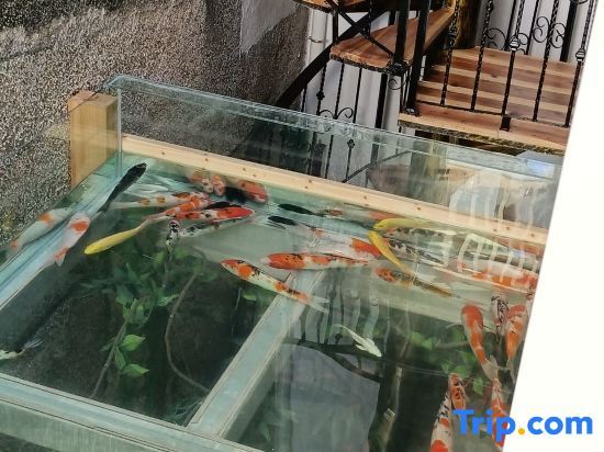 Лунъянь: Changting Traveler Return Inn