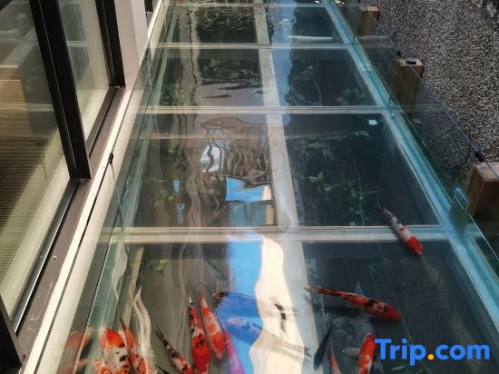 Лунъянь: Changting Traveler Return Inn