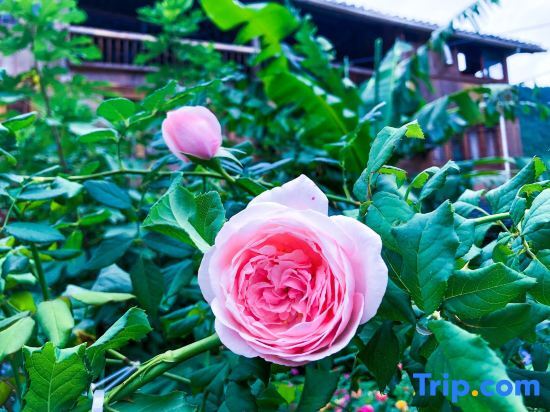 Шаогуань: Tingyu Homestay