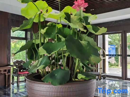 Нинбо: Delight Hotel Lotus Courtyard