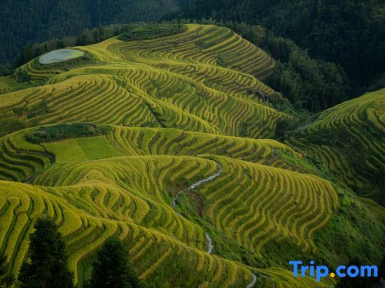 Longsheng: Longji Terraces Ping'an Village Zhuyuan Homestay