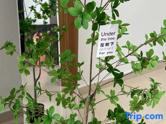 Шэньчжэнь: Suwu Youdianjing Apartment (Zhengzhongfeng Linji Center Shop)