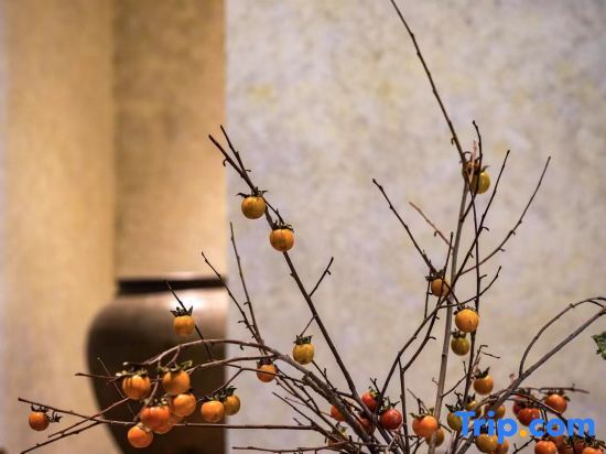 Нинбо: Ningbo Zhuxiafenglin Homestay