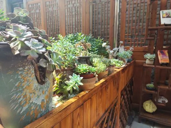 Аньшунь: Yuebaitu Homestay