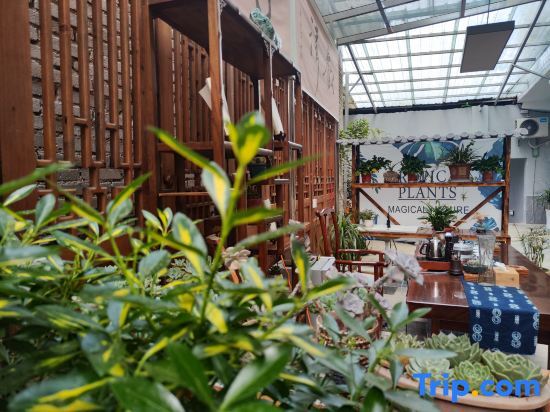 Аньшунь: Yuebaitu Homestay