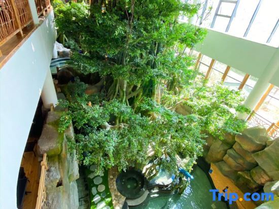Инкоу: Yimihuahai Homestay (Shanhai Plaza Magic Hot Spring)