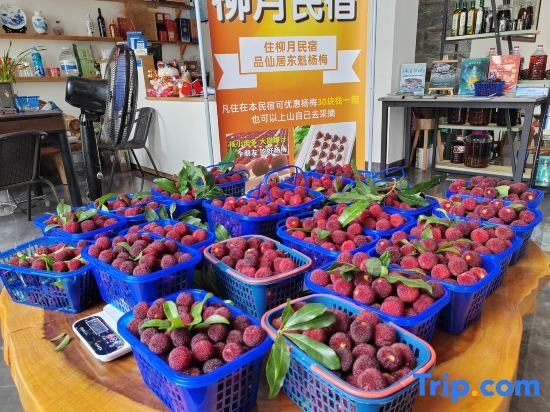 Тайчжоу: Xianju Liuyue Homestay