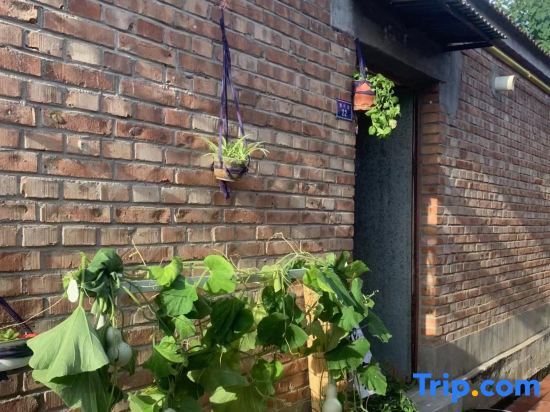 Лянфан: Comfortable Home Youth Homestay