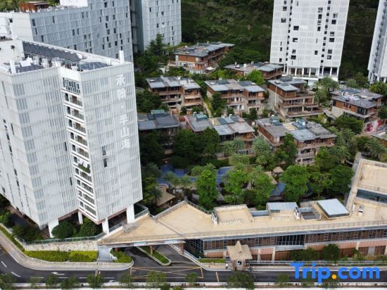 Шэньчжэнь: Mirs Bay One Hotel Apartment (Rose Coast Store)