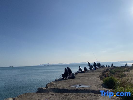 Шэньчжэнь: Mirs Bay One Hotel Apartment (Rose Coast Store)