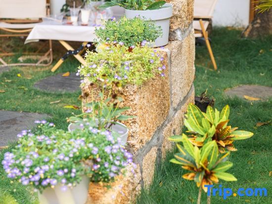Бэйхай: Weizhou Island Summer Haiqing Homestay