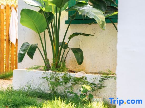 Бэйхай: Weizhou Island Summer Haiqing Homestay