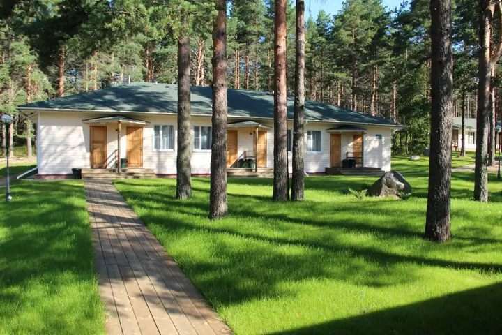 Пряжа: Туркомплекс Морошка