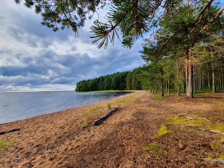 Пряжа: Туркомплекс Морошка