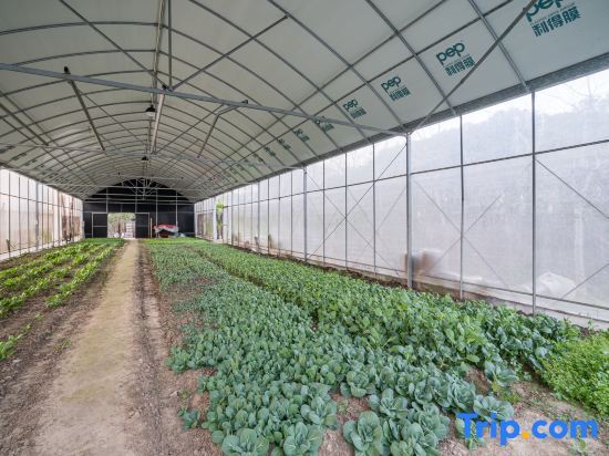 Шанхай: Shanghai Chongming Island Manxixuan·Yujia Homestay