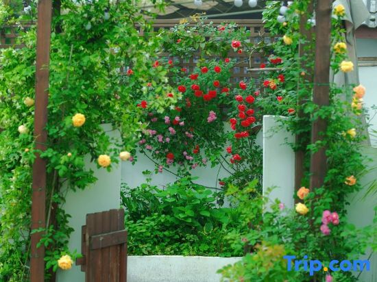 Чунцин: Painter Garden Homestay