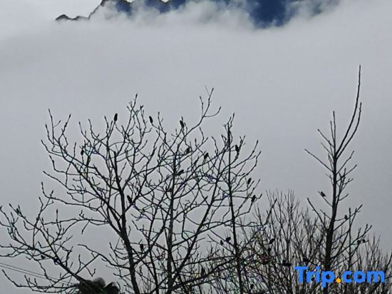 Лишуй: Yunhe Terrace Yunxi Homestay (Baiyingu Scenic Area Shop)