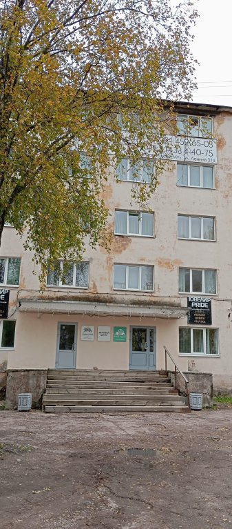 Питкяранта: Гостиница Питкяранта